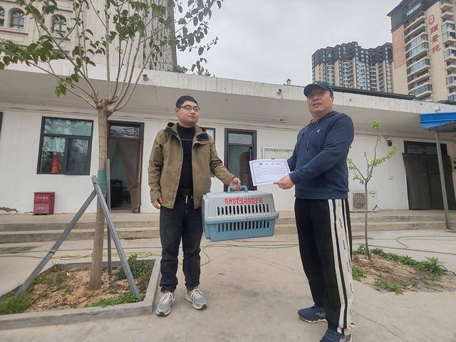 市政人员爱心接力，救助野生雉鸡彰显保护意识，温暖一幕：道桥管养所救助野生雉鸡传递爱与责任