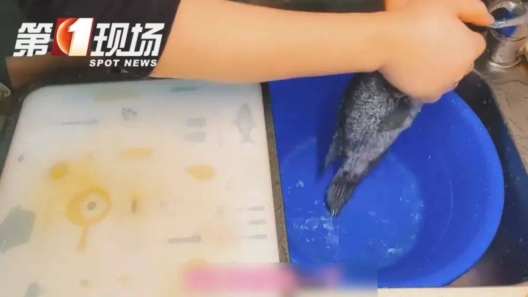 美味海鲜背后：创伤弧菌等细菌感染的防范攻略
