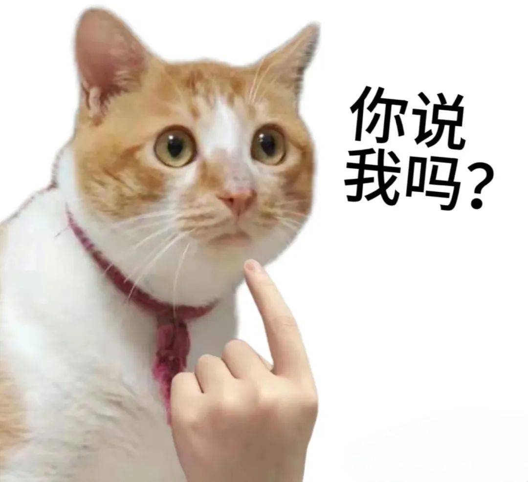 周某两次偷渡被抓，“财富自由”梦碎！，“电子馅饼”诱惑下，周某偷渡终陷法网！