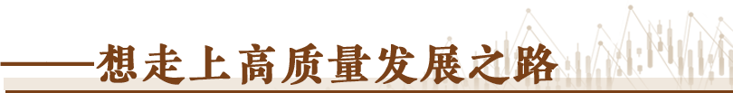 民营经济：从多元主体到高质量发展之路，民营经济：多样活力与发展新篇