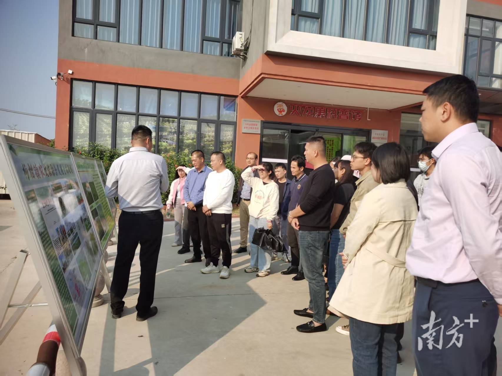 徐闻乡村振兴学习之旅：探寻产业升级密码