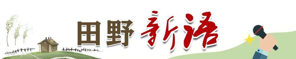 希望小学高价采购事件：公共资金监管需“阳光”与“刚性”，希望小学高价采购引众怒，监管问责能否到位？