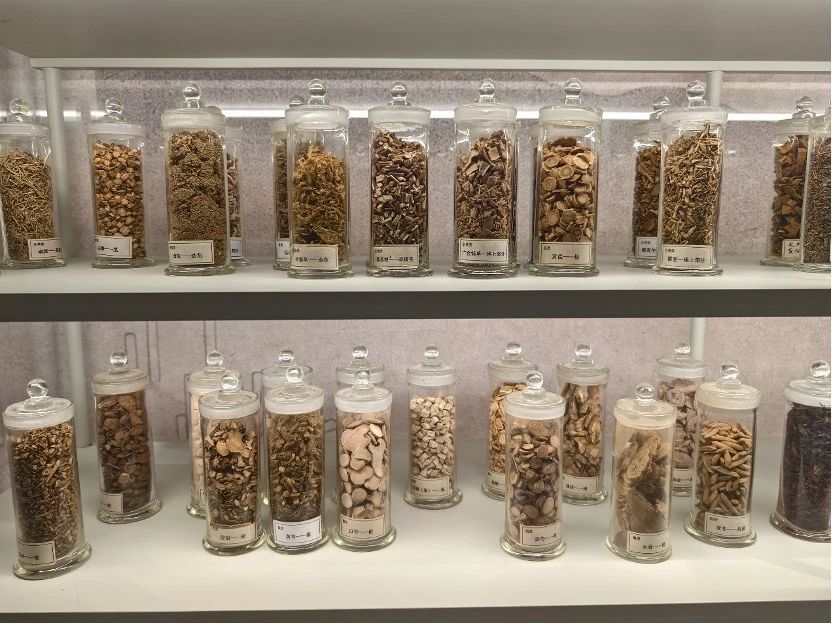 国务院助力，中医药产业迈向高质量发展新时代 出台，中医药产业全链条发展获强力支撑