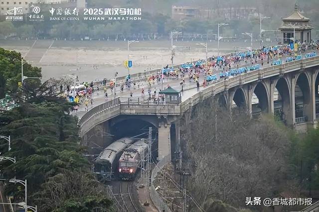 樱花季里的武汉马拉松：跑在最美赛道，感受城市温度