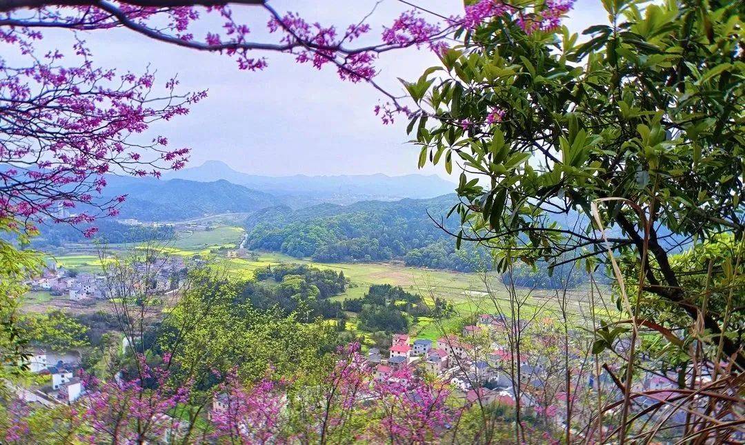 2. 繁花春日，走进景德镇的赏花仙境