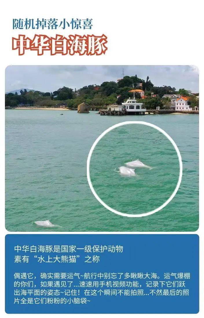走进厦门老院子，体验海战风云实景演绎的热血刺激
