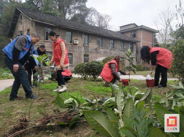 3·12植树节，自贡邓关街道掀起植树热潮