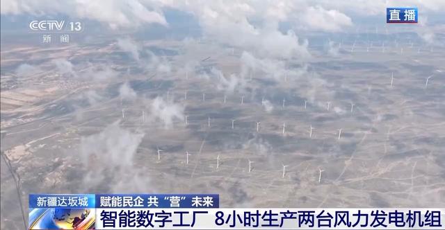 新疆能源转型：风电闪耀，民企撑起发展半边天，探秘新疆：风电领跑，民企助力绿色发展新征程