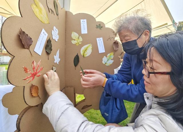 华东师大学生创业：用艺术为失亲者疗愈心灵创伤 福寿园艺术疗愈活动：让扫墓者在创作中释放思念