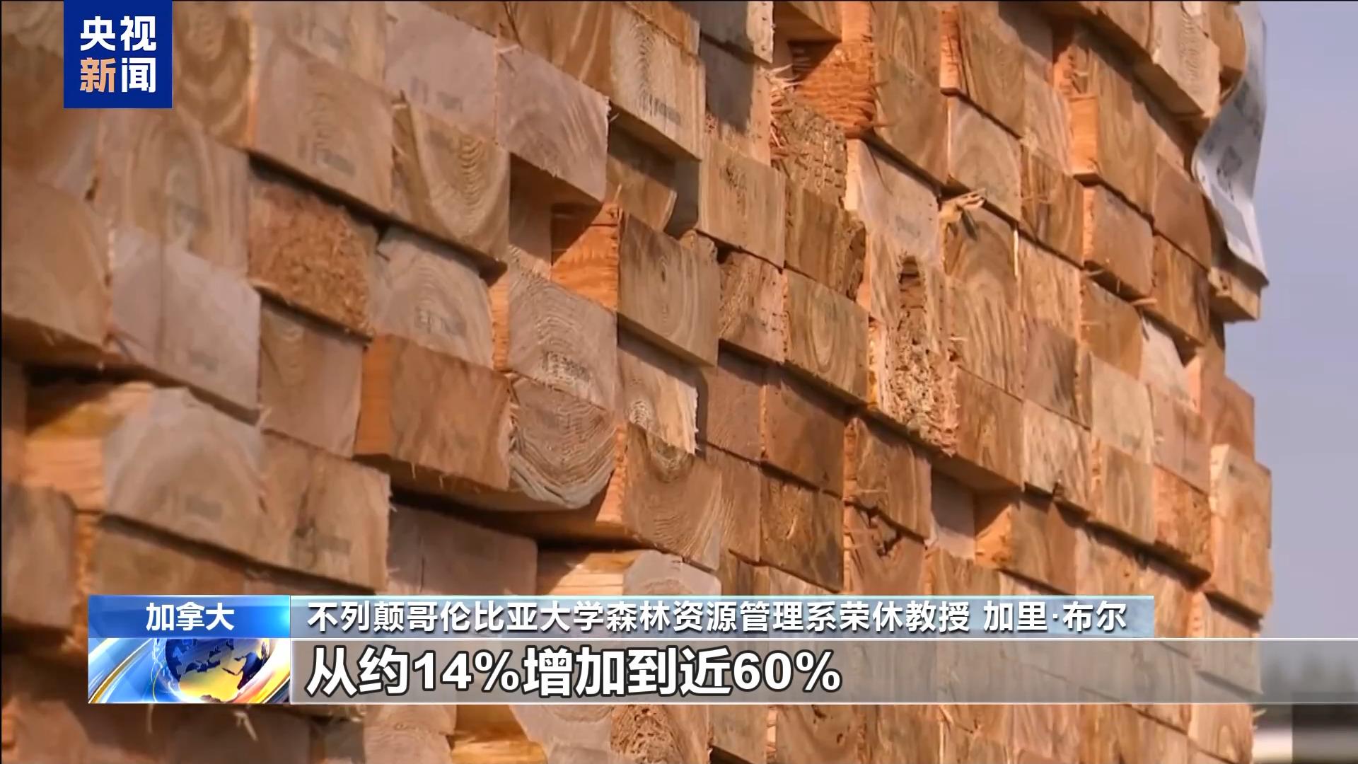 美国加征关税，加拿大木材行业危机四伏！，美加软木贸易摩擦升级，谁能笑到最后？