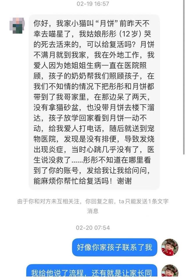 当宠物离世，张珈宁用标本为它们开启另一段“生命旅程”，90后女孩用爱“复活”宠物，开启温暖告别之旅