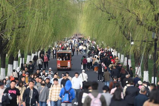 清明至，感受春日生机与传统之美，清明时节：亲近自然，铭记先辈