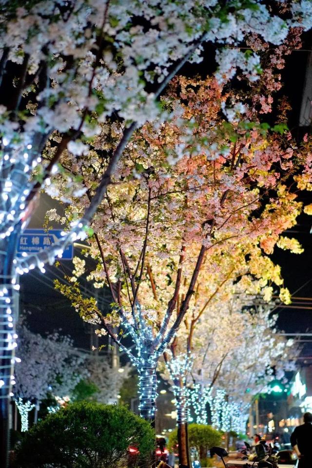 1. 桃浦春日盛景，邀您共赏自然之美，2. 邂逅桃浦的春日多巴胺，美景不容错过！
