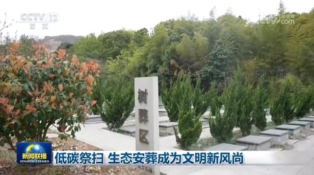 绿色清明：全国多地祭扫与安葬新趋势