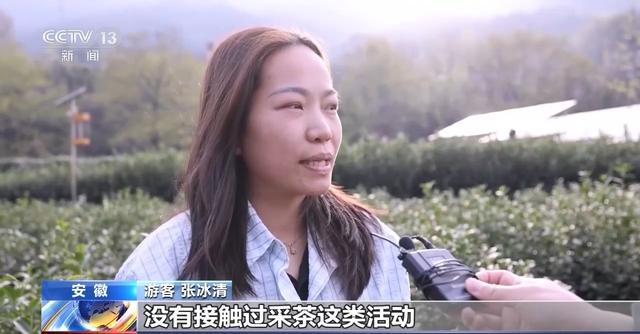 清明出游新趋势：赏花、农耕体验与慢生活的融合