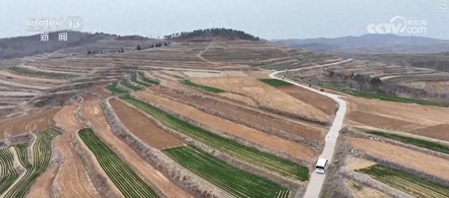 2025威海春耕：多举措提升粮食单产，威海春耕：中低产田逆袭高产田的秘诀