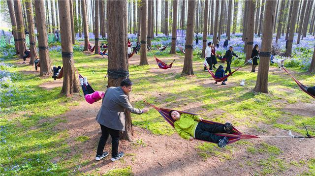 清明小长假，江苏各地消费场景百花齐放，清明江苏消费热：线上线下联动开启经济新引擎