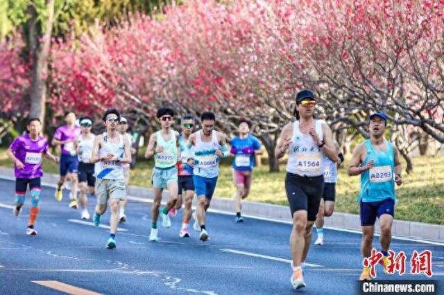 5000跑者齐聚海淀，开启速度与文化之旅