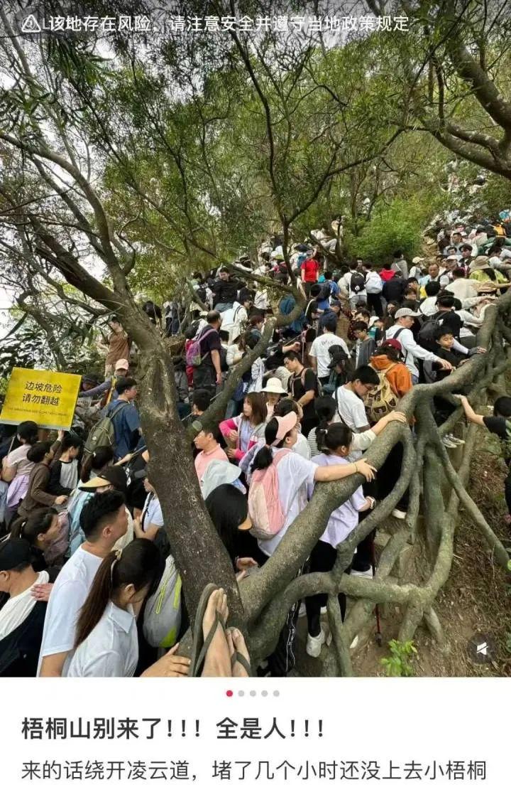 清明首日：车堵人挤，景区热度直逼云霄，清明假期：景区人满为患，“2小时高铁圈”成热门