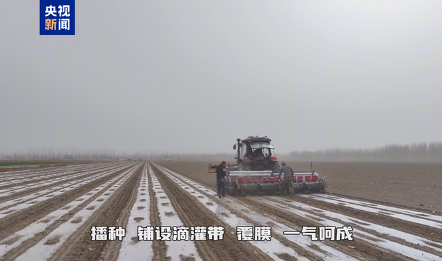 春日新疆阿克苏：机械化奏响棉花春播序曲，新疆阿克苏春播正酣，机械化助力棉花播种