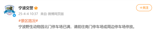 直击宁波清明交通：拥堵背后的应对之策，宁波清明：扫墓与出城叠加，交通状况大起底