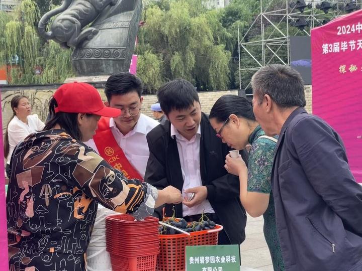 工行“电商e贷”，助推毕节电商产业蓬勃发展