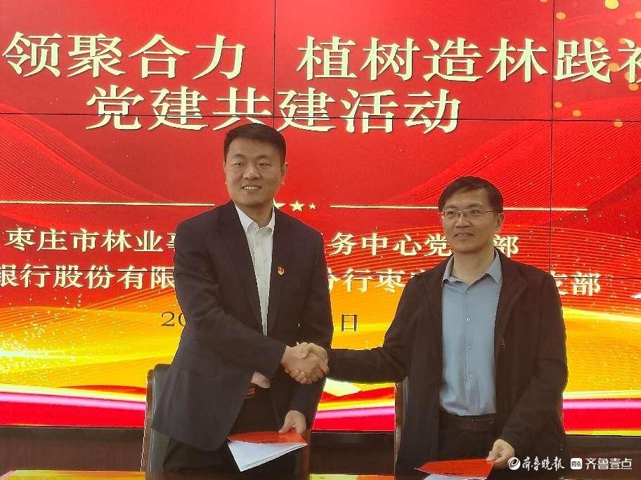 “党建红”邂逅“生态绿”，政银携手植绿枣庄