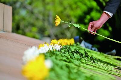 清明时节，缅怀先烈共赴民族复兴路