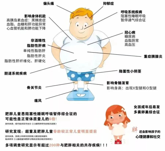 “小胖墩”如何逆袭？医院门诊给出答案，儿童肥胖成忧，医院门诊助力“小胖墩”减负