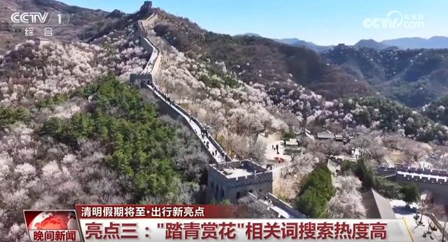 清明出游热潮：赏花、观鸟、采茶乐趣多，清明时节：全国多地开启春日旅游盛景