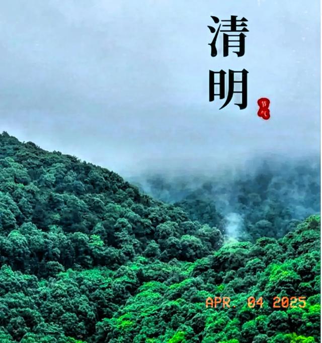 清明时节，追思南疆长眠英雄