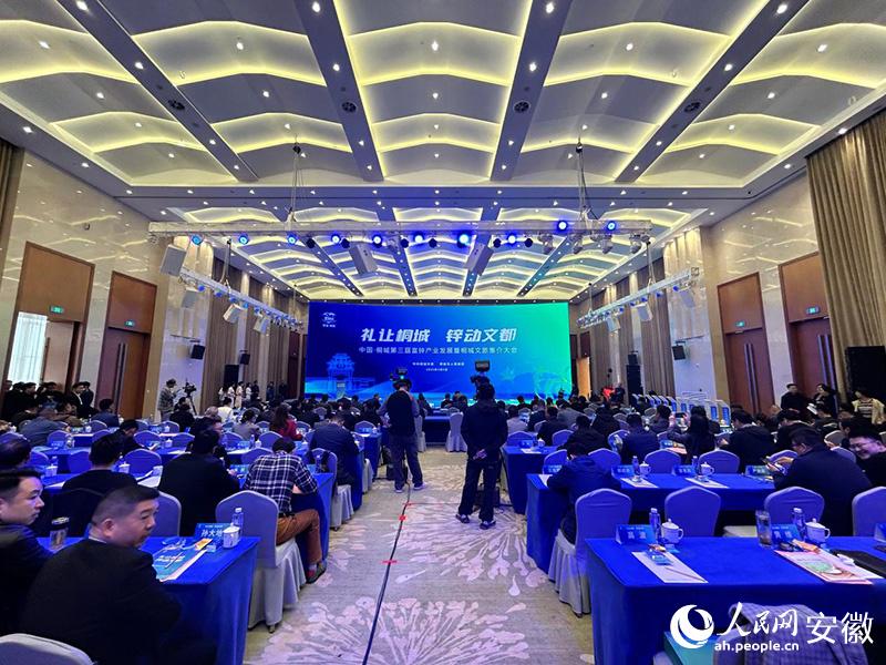 桐城第三届富锌产业大会启幕，66.2亿投资助力产业升级 4月5日桐城富锌产业盛会：多项成果推动锌米产业标准化