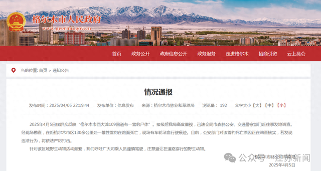 格尔木雪豹死亡事件：关注野生动物生存现状，青海格尔木雪豹死亡引关注，呼吁谨慎驾驶保护生灵