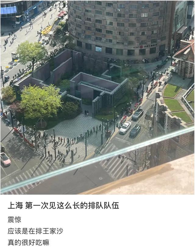 沪上青团火爆背后：美味与健康的双重考量