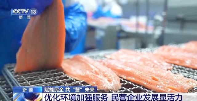 新疆能源转型：风电闪耀，民企撑起发展半边天，探秘新疆：风电领跑，民企助力绿色发展新征程