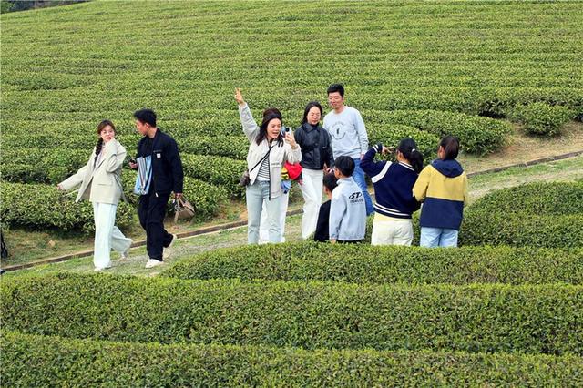 清明小长假，江苏各地消费场景百花齐放，清明江苏消费热：线上线下联动开启经济新引擎