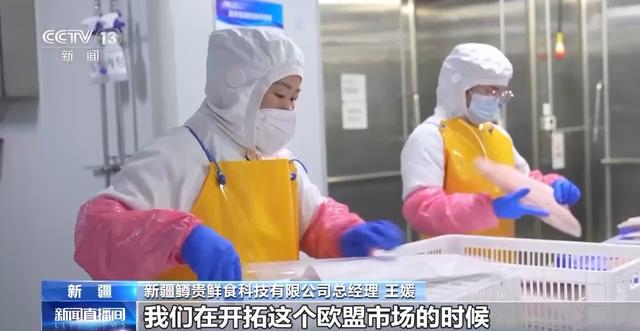 新疆能源转型：风电闪耀，民企撑起发展半边天，探秘新疆：风电领跑，民企助力绿色发展新征程