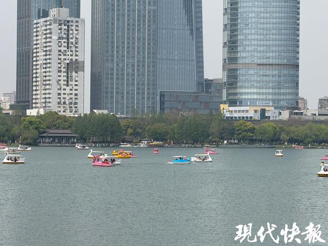 清明南京游：从文化觉醒到城市温柔表达，清明南京：自然人文共舞，老城焕发新生
