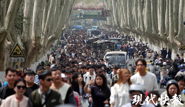 清明南京游：从文化觉醒到城市温柔表达，清明南京：自然人文共舞，老城焕发新生