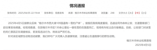 国道上的悲剧：青海格尔木雪豹死亡事件，格尔木雄性雪豹路面死亡，车轮痕迹成破案关键