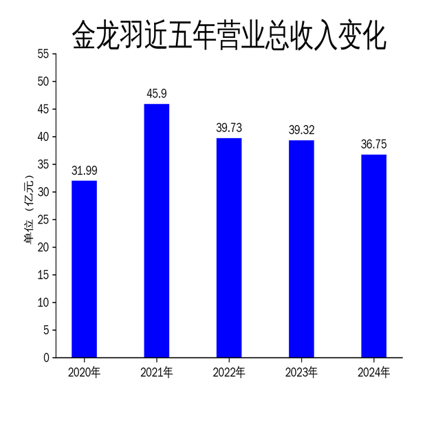 金龙羽2024：业绩下滑，新能源投入与治理隐忧并存 剖析金龙羽2024：工程放缓、项目亏损双重困境