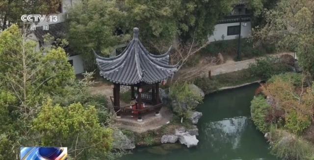 明前茶季：从碧螺春到径山茶的文化盛宴
