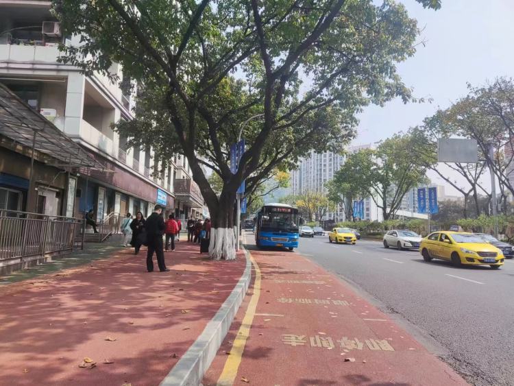 重庆沙坪坝区公交站改造：破解拥堵难题，畅通市民出行