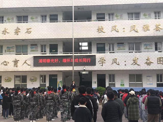 大王庄小学清明主题活动：在缅怀与劳动中见证学生成长