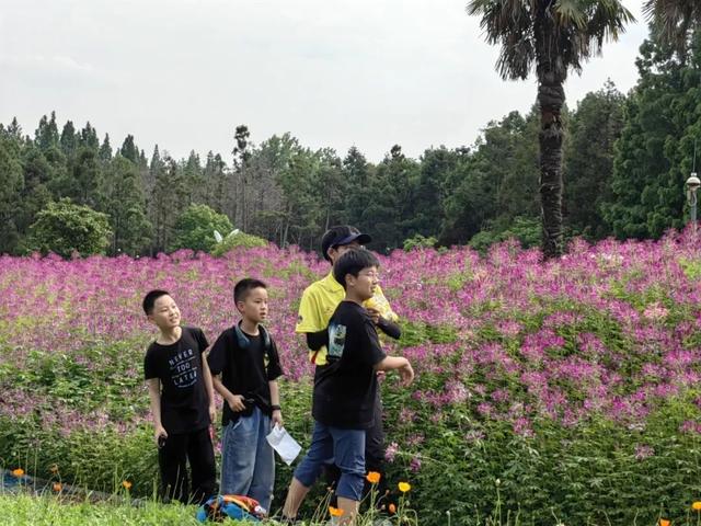 花朝节邂逅东平森林，解锁亲子春日狂欢新玩法！，探秘东平森林花朝节：亲子露营的绝佳之选！