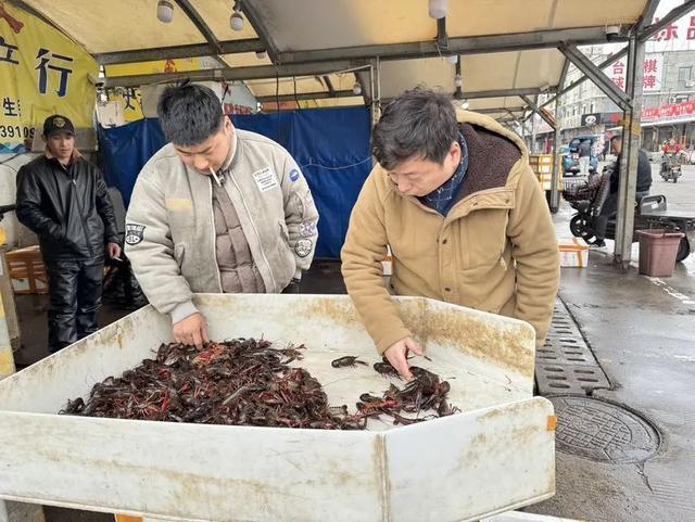 春日小龙虾“爬”上餐桌，美味盛宴即将开启，春日邂逅小龙虾，舌尖欢愉等你来享
