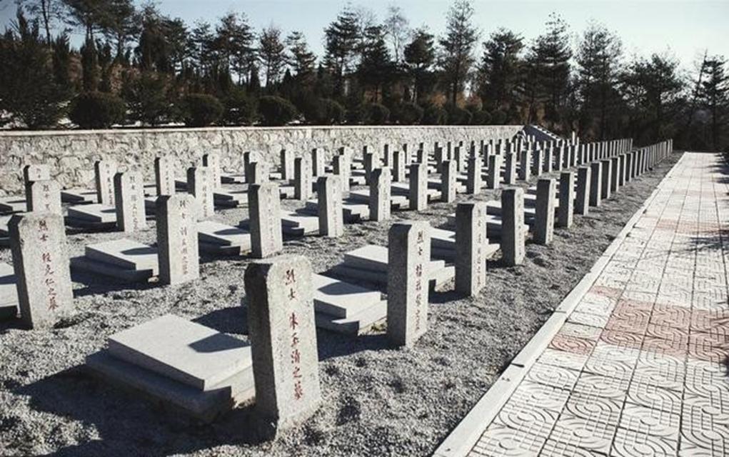战火中的亲情与荣耀：蔡小东的非凡人生历程，从懵懂学生到身世揭秘：董耀东的传奇人生转折