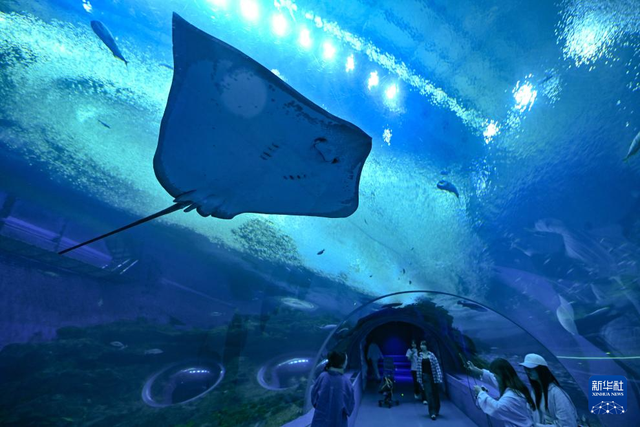 海南海洋欢乐世界成清明热门打卡地！，清明假期海南景区人潮涌动，欢乐氛围拉满！