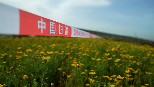 联黎局势紧张，中国排爆小组助力销毁过期弹药 中国官兵成功销毁联黎部队过期高爆弹药，获韩营致谢