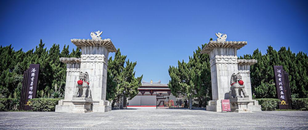 洛阳古墓博物馆出圈，年轻观众缘何热衷打卡？，从冷门到爆款！洛阳古墓博物馆的逆袭之路